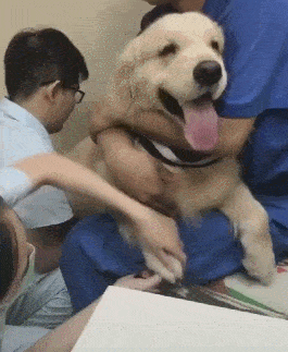 hth官网入口_
搞笑GIF段子:漂亮的烟花 带着扑灭的气息 (图5) hth官网入口_
搞笑GIF段子:漂亮的烟花 带着扑灭的气息 (图5)