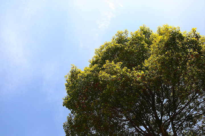 hth官网入口:施工用电宁静“十禁绝”,漫画详细解读