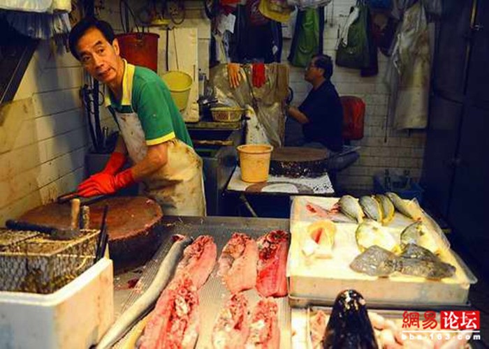 全角色限免 红夫人上架商城 第五人格9.5更新‘华体会体育hth官方网站’(图4) 华体会体育hth官方网站