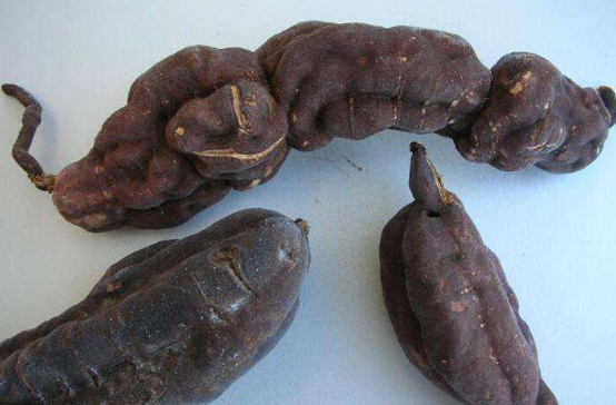 全角色限免 红夫人上架商城 第五人格9.5更新‘华体会体育hth官方网站’