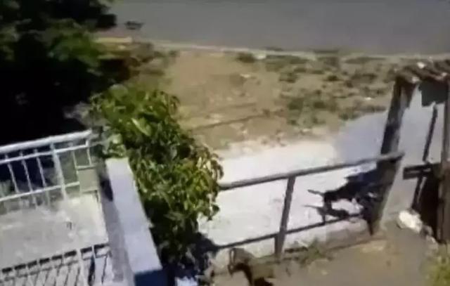 最多5个_华体会体育hth官方网站(图5) hth官网入口