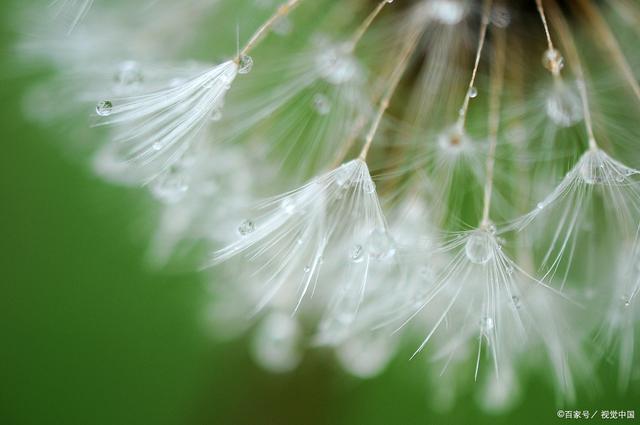 王列军:坚持就业优先战略 保持就业稳定【华体会体育hth官方网站】(图3) 华体会体育hth官方网站