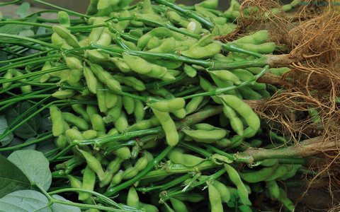 【华体会体育hth官方网站】火线精英手机版周年庆福利 登录即送豪礼