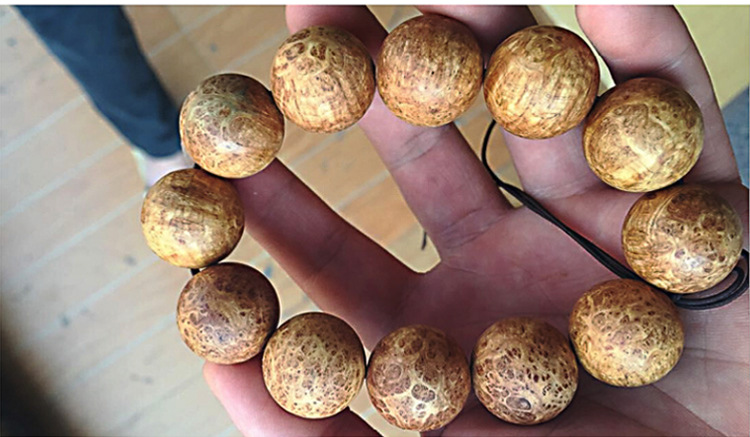 华体会体育hth官方网站