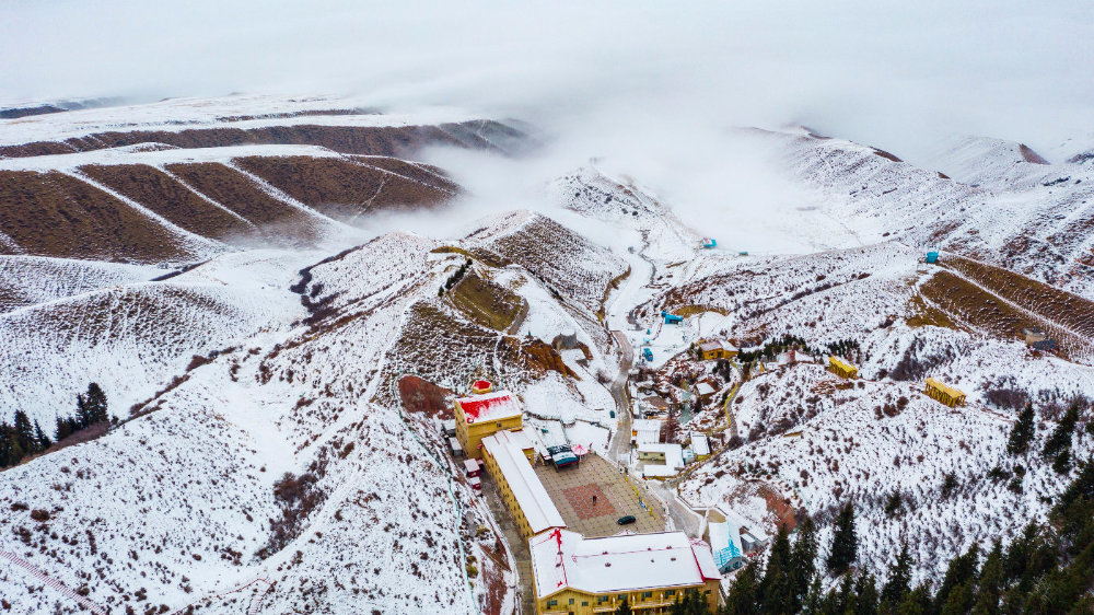 华体会体育hth官方网站