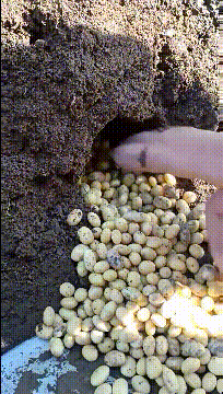 
搞笑GIF段子：7 这要怎么解释？‘华体会体育hth官方网站’(图5)