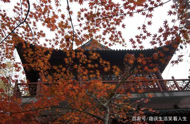 爱绿护绿亲绿彭州市南幼开展植树节系列活动|hth官网入口(图2) hth官网入口