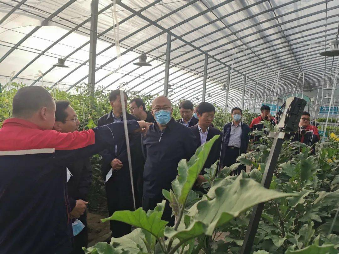 全省尺度化事情推进暨农业尺度化服务现场交流会到我镇观摩-hth官网入口(图10)
全省尺度化事情推进暨农业尺度化服务现场交流会到我镇观摩-hth官网入口(图10)