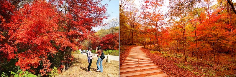 华体会体育hth官方网站