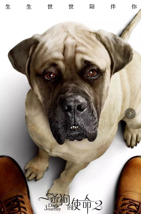 华体会体育hth官方网站