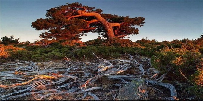 如何将一大段语音转文字?这个简朴利便的措施用起来:hth官网入口(图3) hth官网入口