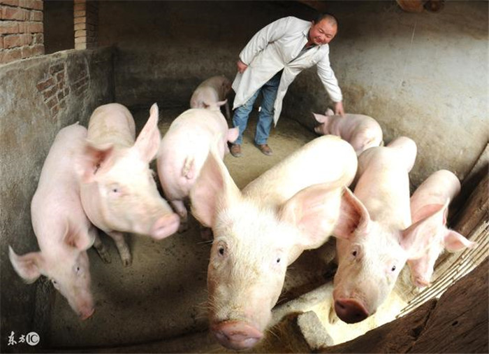 定制衣柜用什么板材好?四个方法带你选购衣柜板“hth官网入口”