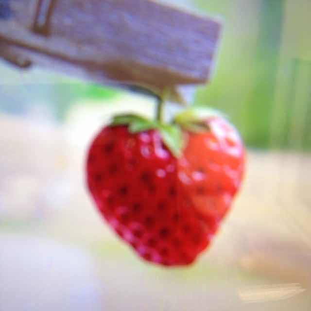 【hth官网入口】《航海王燃烧意志》8月16日上午11点开启计费删档测试(图2) hth官网入口