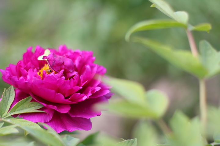 华体会体育hth官方网站