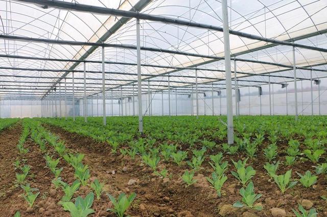 猫和老鼠共研服10月23日16点关服 下期预计10月25日开服【hth官网入口】(图3) 华体会体育hth官方网站