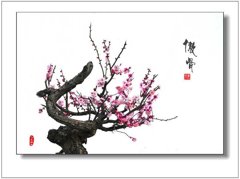 《孤岛先锋》奇异技能反套路玩法,打造魔性吃鸡新体验!|hth官网入口