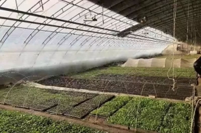 ‘hth官网入口’《时空猎人》2.12新翅膀皮肤太甜了!情人节定制光翼!(图1) 华体会体育hth官方网站