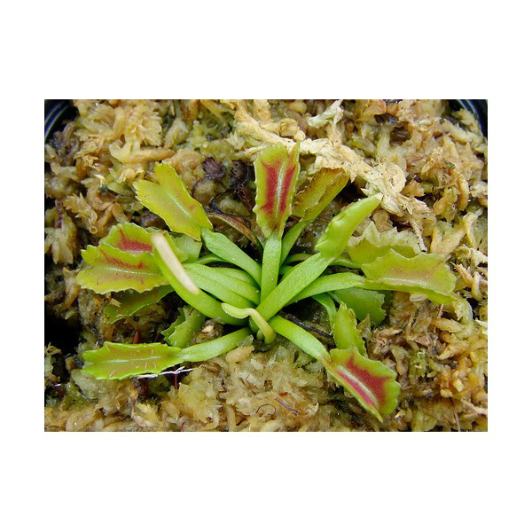 *
抖音标签是什么意思?抖音标签要怎么设置?这份指南请收好!|hth官网入口(图2) hth官网入口