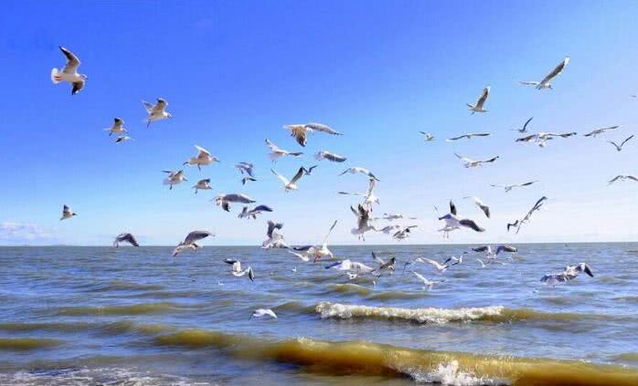 华体会体育hth官方网站:沙河源小学五年级父母必修课:《孩子“叛逆”怎么办》(图2) hth官网入口