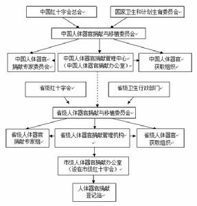 华体会体育hth官方网站:沙河源小学五年级父母必修课:《孩子“叛逆”怎么办》(图3) 华体会体育hth官方网站