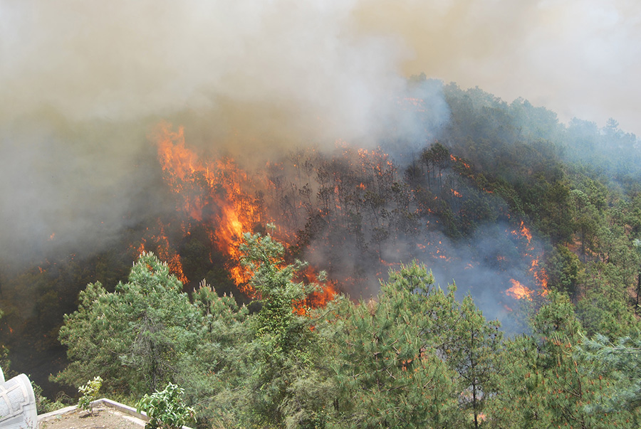 璀璨不夜城又来了!《模拟城市:我是市长》四月新版新建筑实装_hth官网入口(图3) 华体会体育hth官方网站