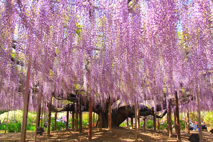 猫玩互娱冠名SAC潮车展暨SAC汽车音乐趴 嗨爆珠海车展|hth官网入口(图2) hth官网入口