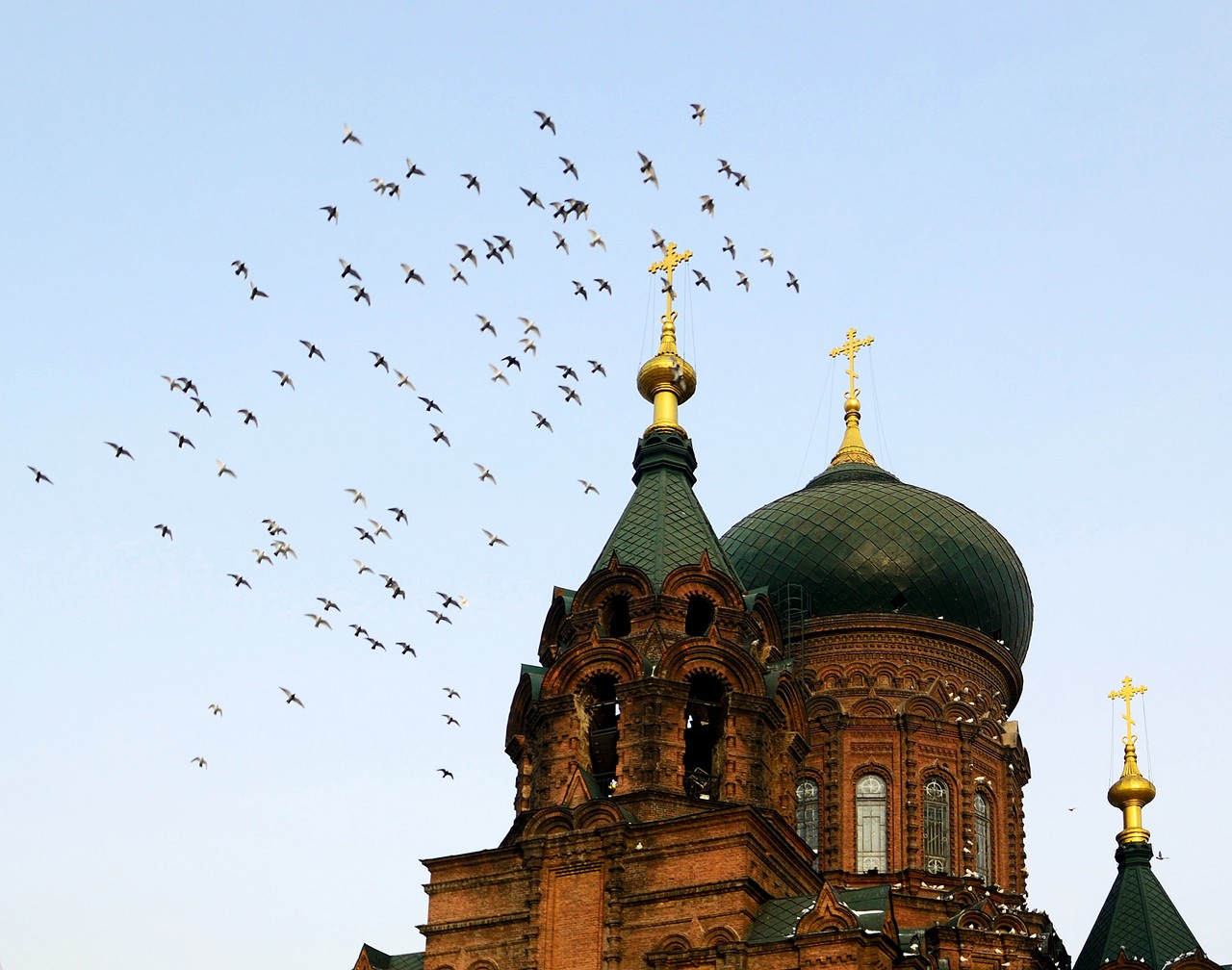 华体会体育hth官方网站-
张更华出席全国品牌评价尺度化技术委员会2020年年会(图1) hth官网入口