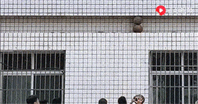 
搞笑GIF段子：我倒是没意见 不外你得问房东答不允许‘华体会体育hth官方网站’(图4)