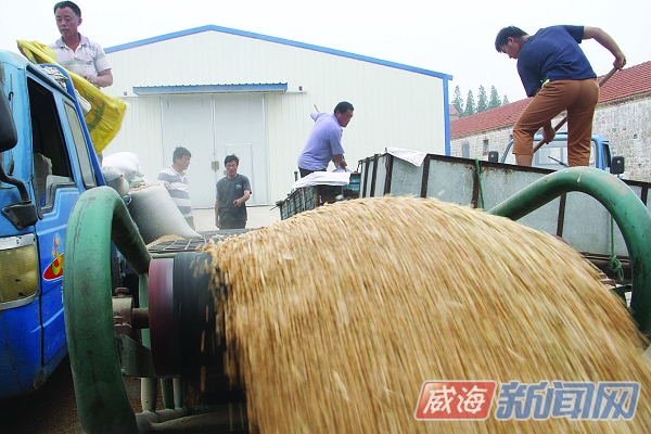 华体会体育hth官方网站