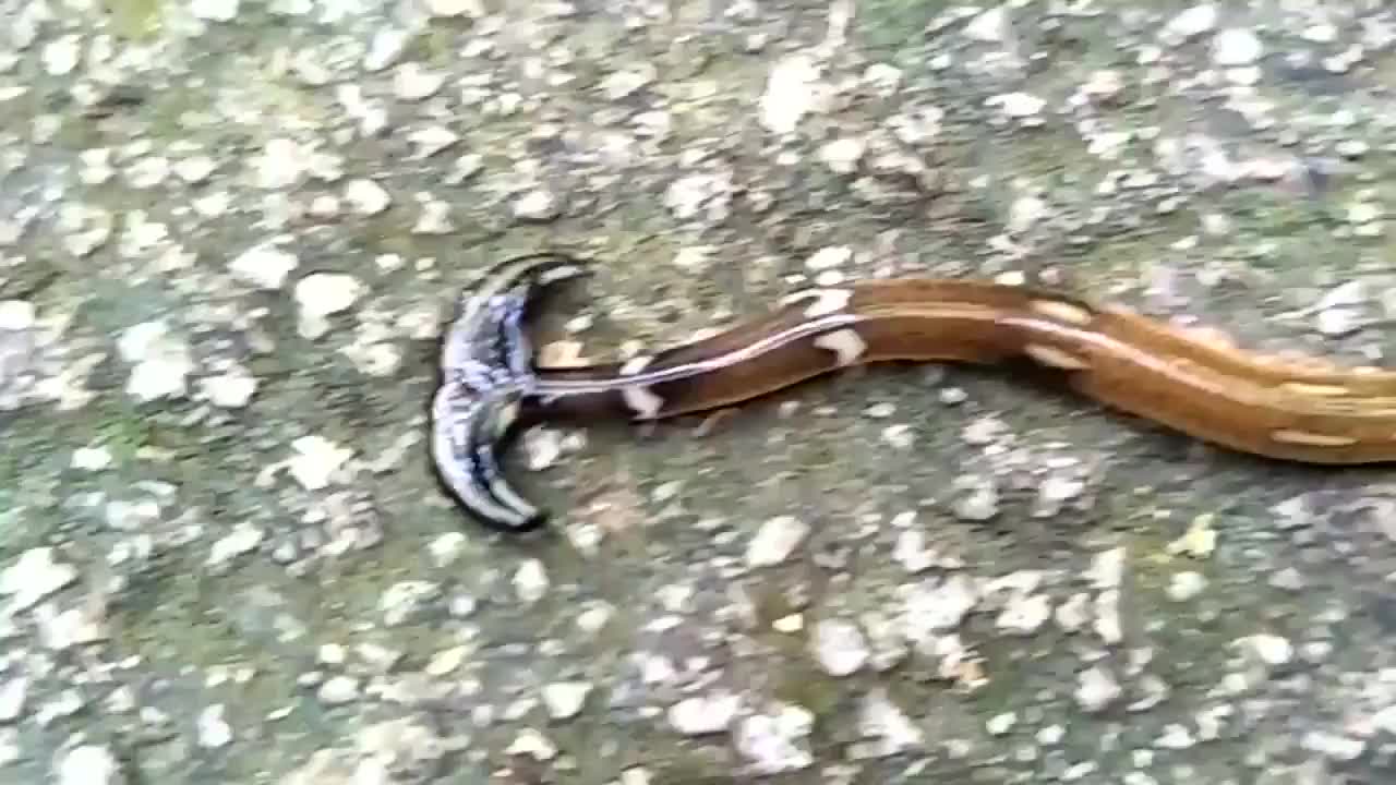 华体会体育hth官方网站