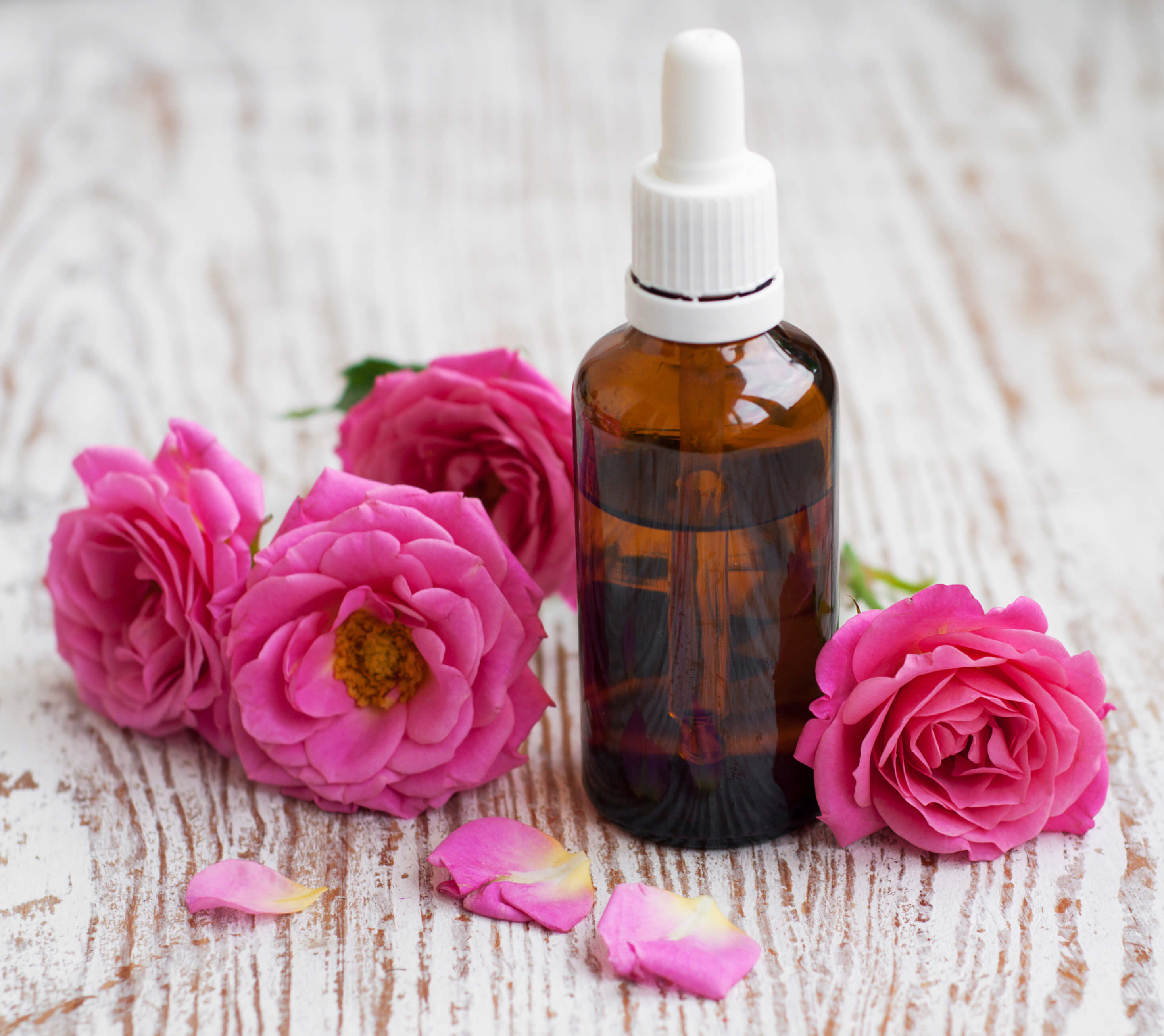 香港政府:政府部门已于九月十五日全面恢复正常的公共服务“hth官网入口”(图1) hth官网入口