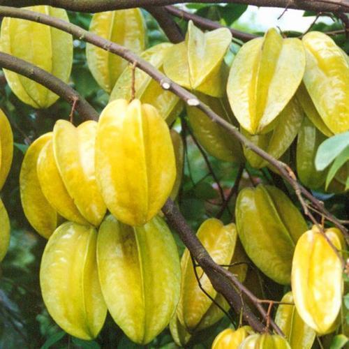 华体会体育hth官方网站