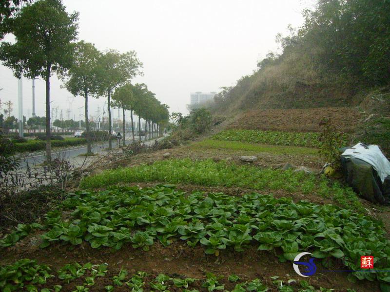 华体会体育hth官方网站