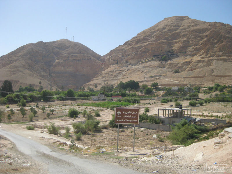 华体会体育hth官方网站