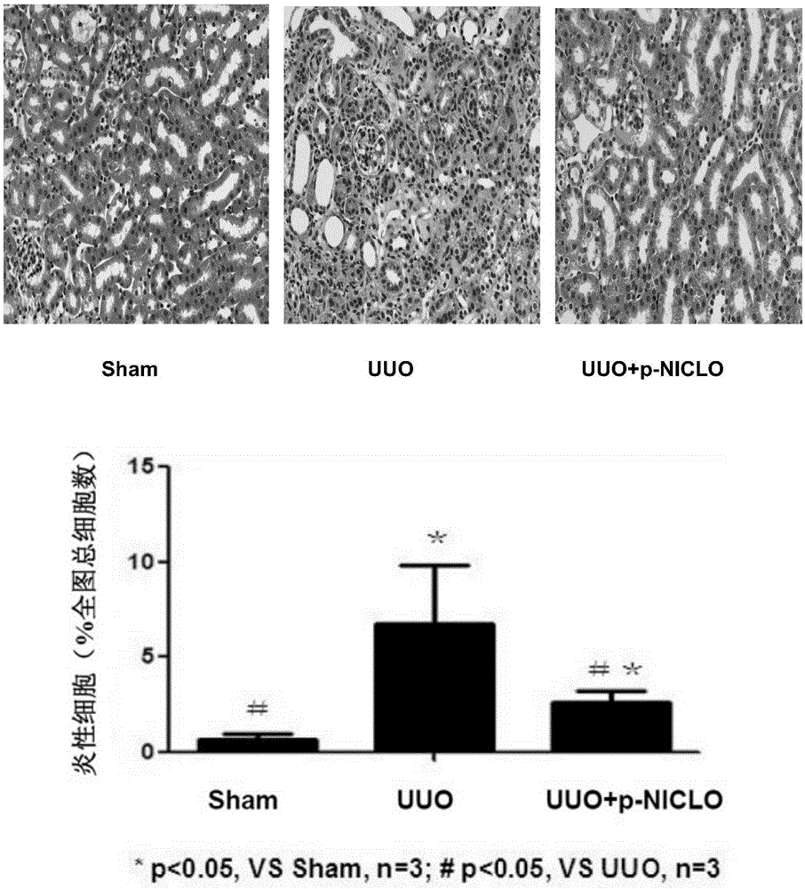 【1期】方舟生存进化中国区官方蓝贴:手机型号适配|hth官网入口(图3) hth官网入口
