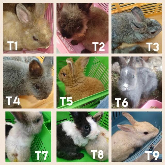 华体会体育hth官方网站