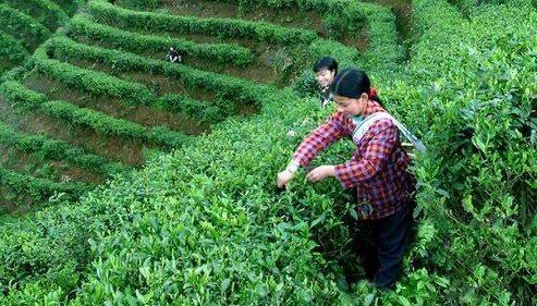 hth官网入口|济源市实验幼儿园:各显身手竞风采欢天喜地迎新年(图4) 华体会体育hth官方网站