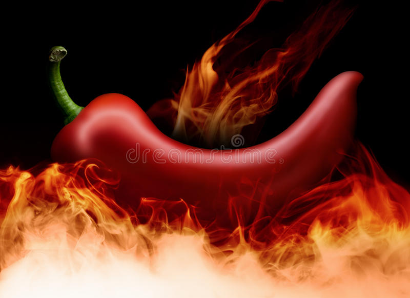 华体会体育hth官方网站