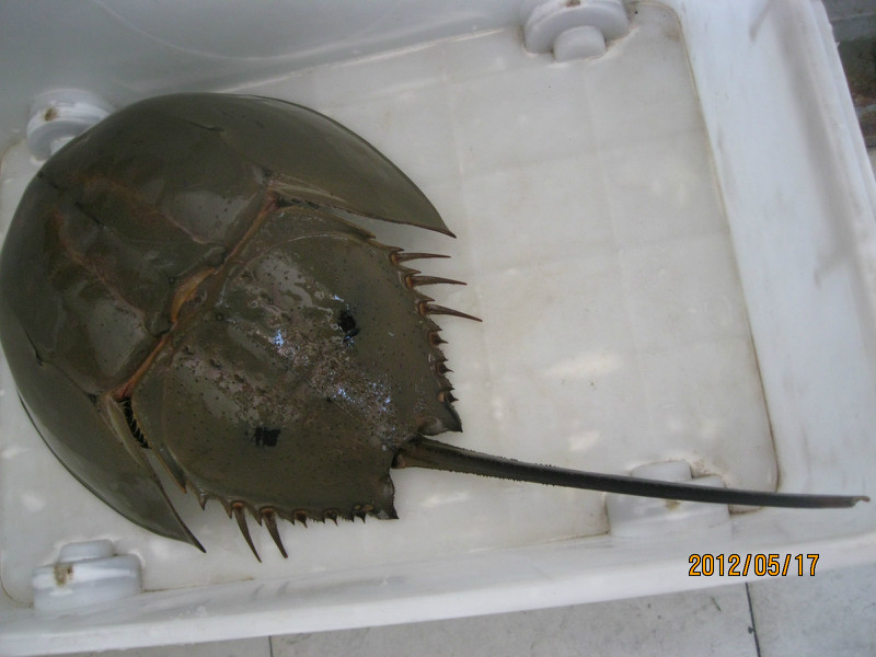 “贾跃亭时代”翻篇 乐视网宣布无限期停牌‘华体会体育hth官方网站’(图2) hth官网入口