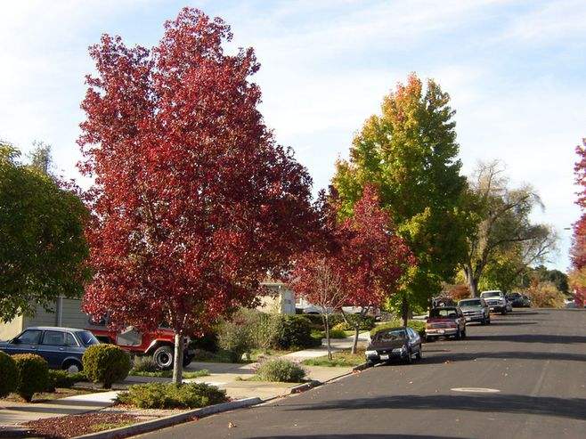 华体会体育hth官方网站