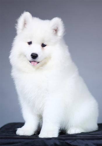 华体会体育hth官方网站