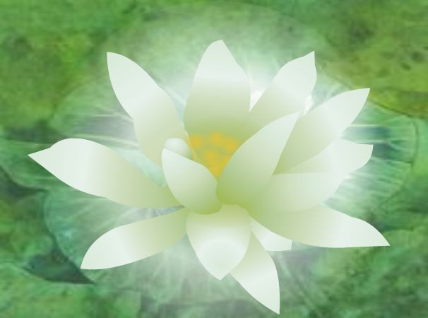 华体会体育hth官方网站