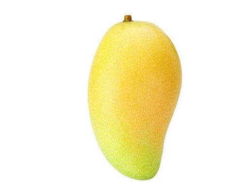 草小西区五年级四班开展“天府文化”国旗下课程:hth官网入口(图2) hth官网入口