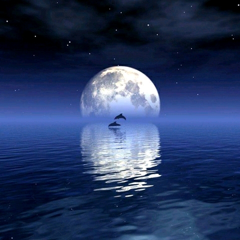 hth官网入口|这款不到82M的站桩射击类街机游戏,竟这么虐(图1) hth官网入口