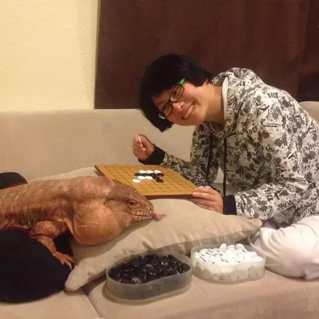 或受笑笑五五开之争风波影响? 拳师7号现已跳槽虎牙直播“hth官网入口”(图1) hth官网入口