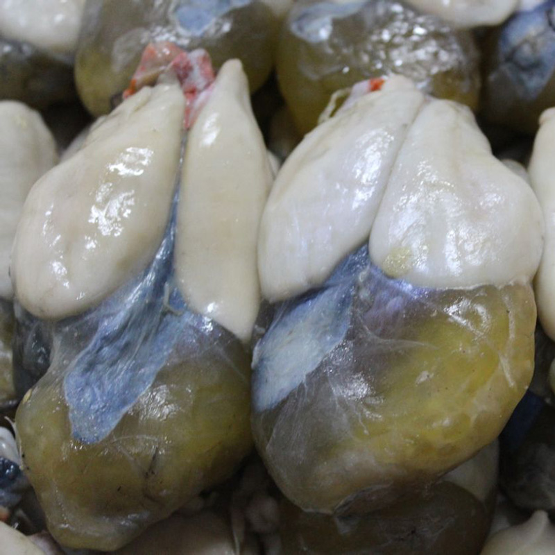 够特别!营业厅还可以这样!_hth官网入口(图1) hth官网入口