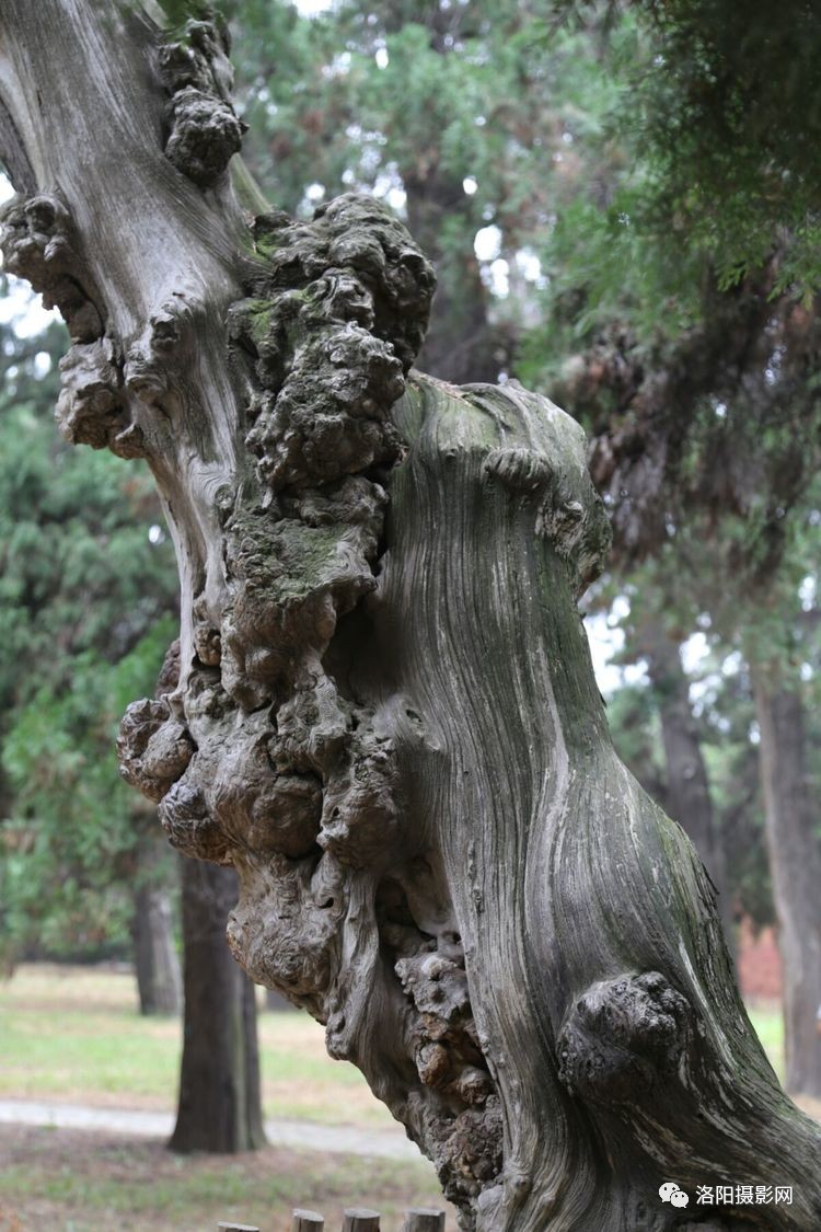 华体会体育hth官方网站