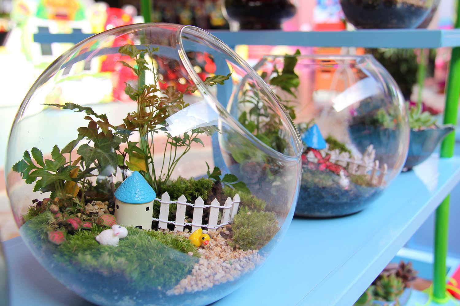 柏树九义校开展“不忘初心、牢记使命”主题教育专题组织生活会‘华体会体育hth官方网站’(图1) 华体会体育hth官方网站