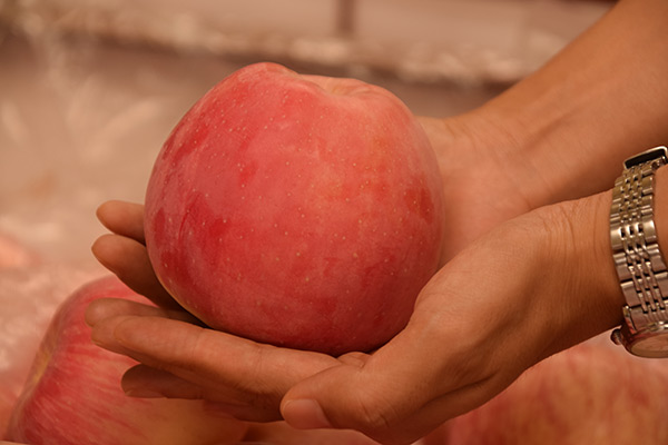 华体会体育hth官方网站