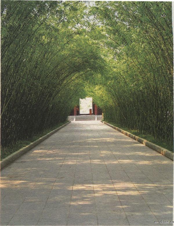 ‘hth官网入口’二师兄年,你来啦!新的一年,也要元气满满哟!(图3) 华体会体育hth官方网站